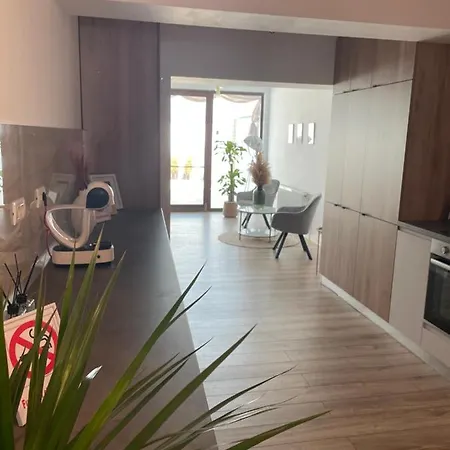 Apartment Penthouse Deluxe Orly 52a *
